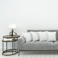 thumbnail image 3 of Ambesonne Geometric Throw Pillow Cover 4 Pack, Spiraling Dots, 20", Grey White, 3 of 7