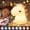 unicorn, variant on BIBEARBIBEAR Squishy Bunny Night Light for Kids,16 Colors Dimmable Soft Silicone LED Lamp,1200mAh Rechargeable Kawaii Nursery Room Decor,Birthday Easter Gifts for Baby Girls