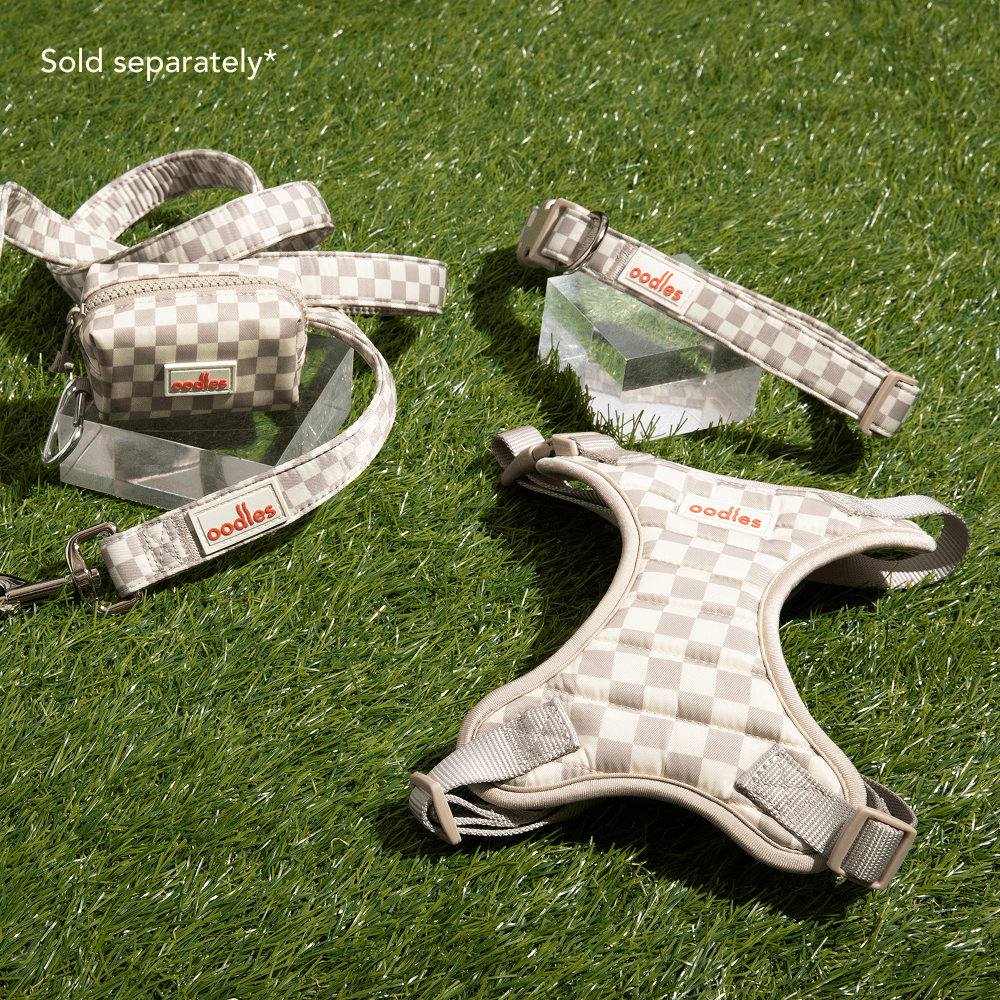 Oodles Gray Checkered Dog Walking 3 Piece Set, Medium