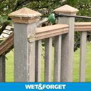 Wet & Forget Outdoor Moss, Mold, Mildew, and Algae Stain Remover Concentrate, 128 oz