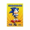 Ncircle Entertainment D100151D Sonic The Hedgehog-Sonic Mega Mix (Dvd)