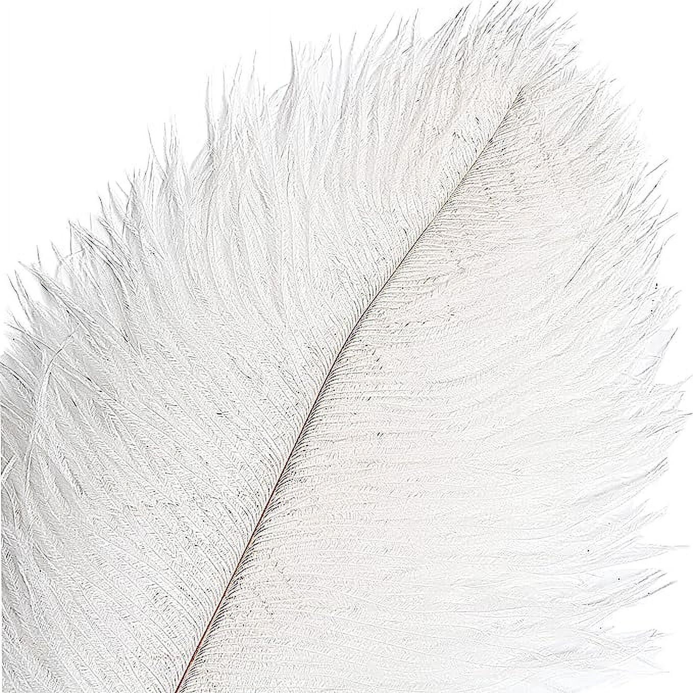 Nvzi 12pcs White Ostrich Feathers Natural Bulk 16-18Inch 40cm-45cm for Wedding Party Centerpieces Easter Gatsby and Home Decorate Ostrich Feathers