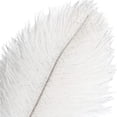thumbnail image 3 of Nvzi Plumas de avestruz verdes, 12 unidades, grandes, naturales, a granel, 12-14 pulgadas, 30-35 cm, para centros de mesa de bodas, fiestas, Pascuas, Gatsby y decoración del hogar, 3 of 4