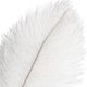 thumbnail image 3 of Nvzi Plumas de avestruz verdes, 12 unidades, grandes, naturales, a granel, 12-14 pulgadas, 30-35 cm, para centros de mesa de bodas, fiestas, Pascuas, Gatsby y decoración del hogar, 3 of 4