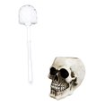 thumbnail image 6 of Macabre Grinning Skull Cranium Toilet Brush & Base Holder Bathroom 2 Piece Set, 6 of 10