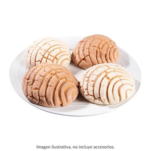 Paquete de conchas 4 piezas