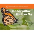 thumbnail image 1 of Caterpillar to Butterfly, 1 of 2