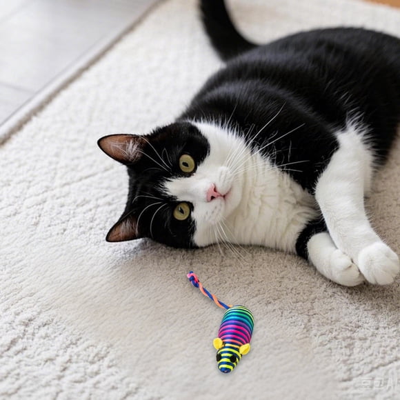 Set de juguetes de plumas para gatos: interactivos, de tela resistente, a prueba de mordiscos y arañazos, favorecen la higiene bucal; para gatos, juego en interiores, todas las razas