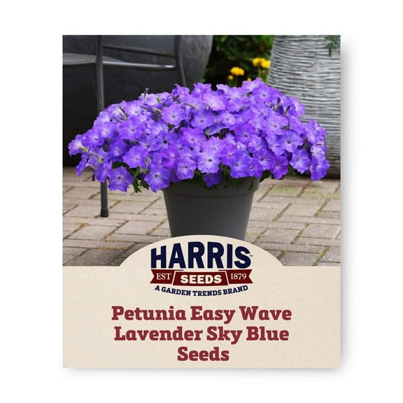 Harris Seeds 25 Petunia Easy Wave Lavender Sky Blue F1 Plant Seeds, Non-GMO