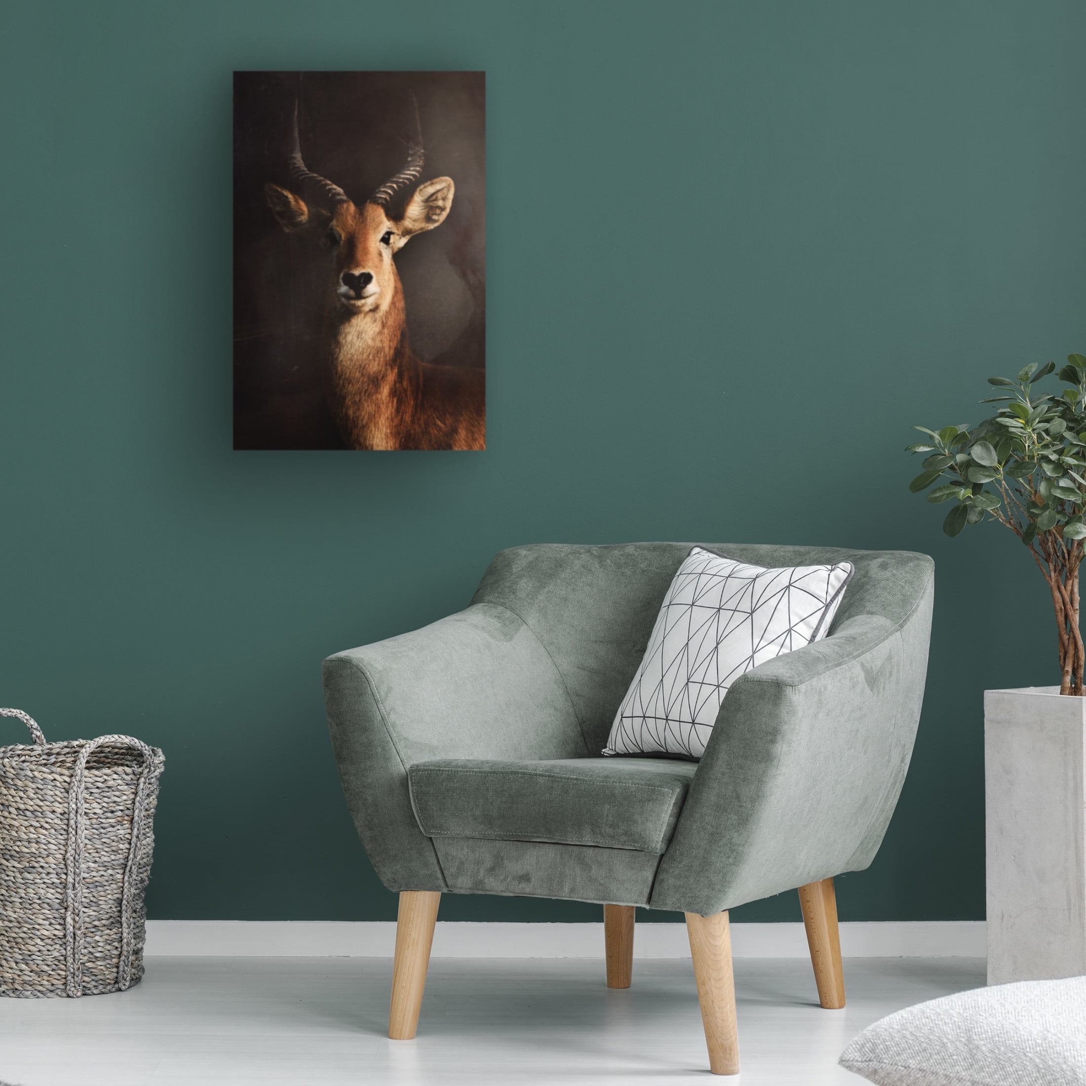 Canvas Wall Art - Antonio Grambone 'Antelope Still' Wall Art for Living Room, Bedroom, or Office Décor by Trademark Fine Art - 22 x 32 Inches