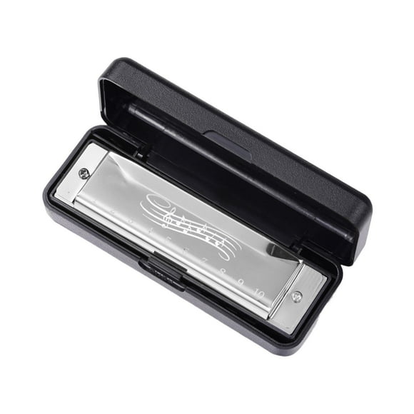 Baohd Mouth Organ Portable Teaching Aids 10 holes Harmonica for Travel Stage Family black Silver 104x28x19mm