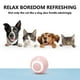 thumbnail image 4 of Pisexur Suministros para mascotas Gatos y juguetes para perros Pet Gravity Rolling Jump Ball Cats Hunting Ball Toy perros, gatos y animales.perros, gatos y animales, 4 of 4