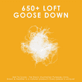 thumbnail image 3 of 650 Loft White Goose Down Comforter - Regular Weight - Queen Size, 3 of 8