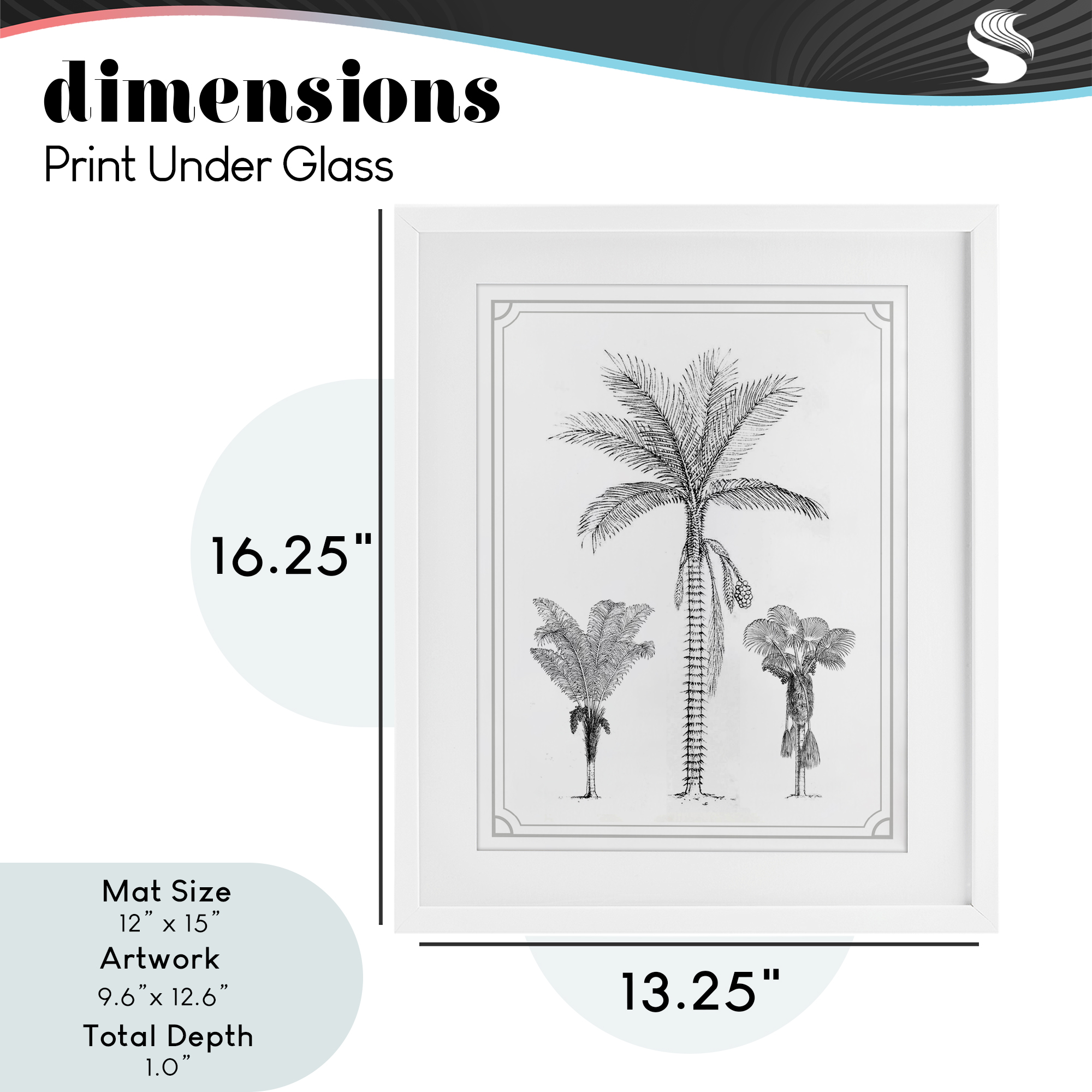 Palm Tree Trio Sketches White Framed Print Under Glass, design by Lettered and Lined