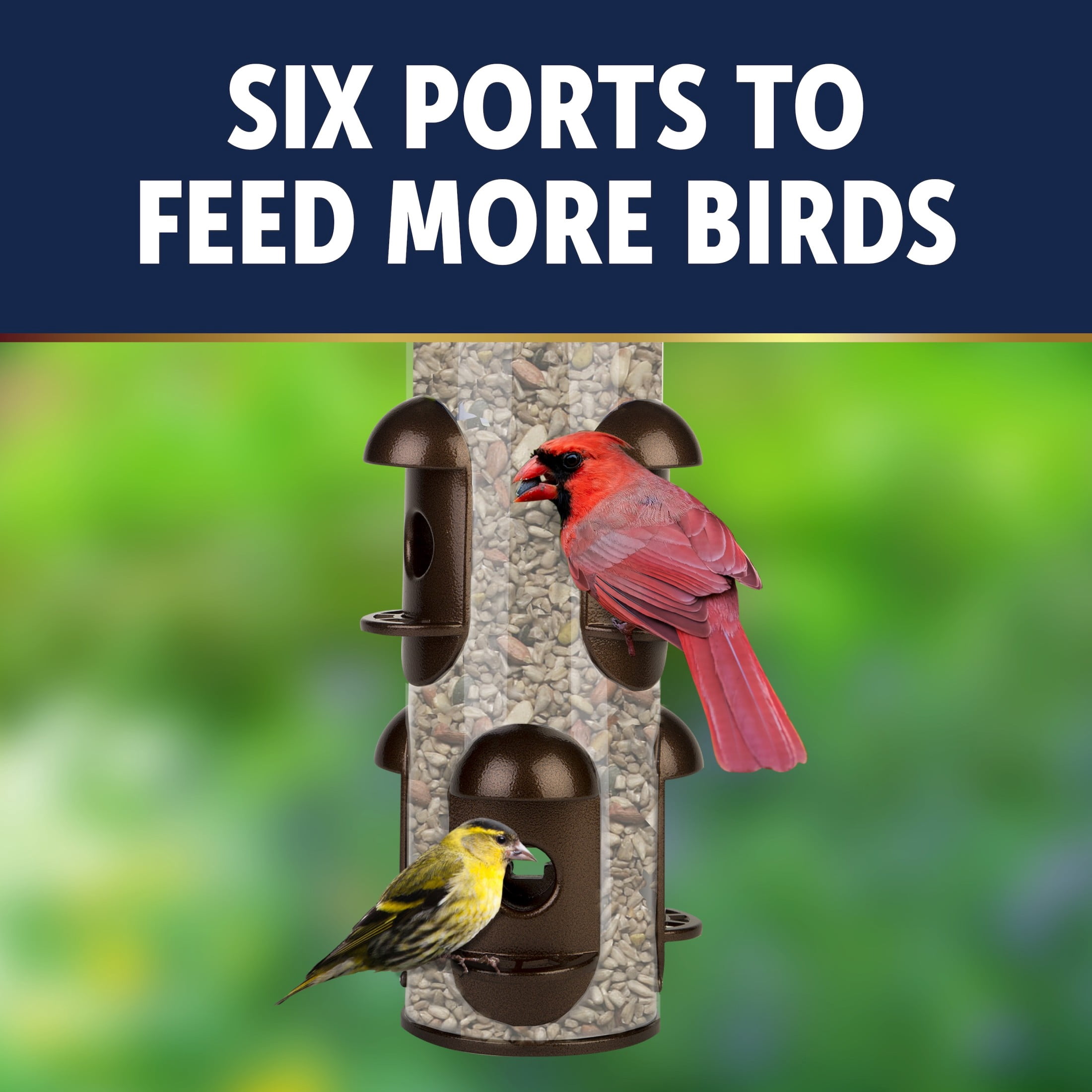 3-D Pro Blends Multi-Port Squirrel Resistant Wild Bird Feeder, 3 lbs Capacity