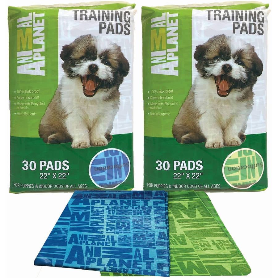 Animal Pet Training Pads, 30pk, Assorted Green Or Blue
