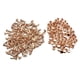 thumbnail image 2 of 100 juegos de tapas dobles Studs Remaches para bolsas Zapatos de cuero 6x10mm Light Gold Sunnimix Remaches de doble espárragos, 2 of 8
