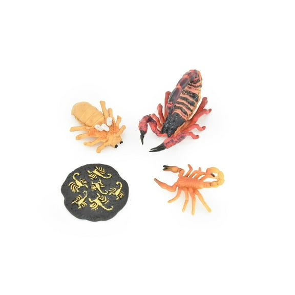 Scorpion, Learn the Scorpion Life Cycle, Very Nice Plastic Figure, Model, Realistic Replica, Educational, Figurine, Animal, Life Like, 4 Stages, 3 1/2" CH12 B231