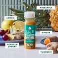 Suja Organic Vitamin D and Zinc Shot with Reishi & Probiotics, 1.7 FL
