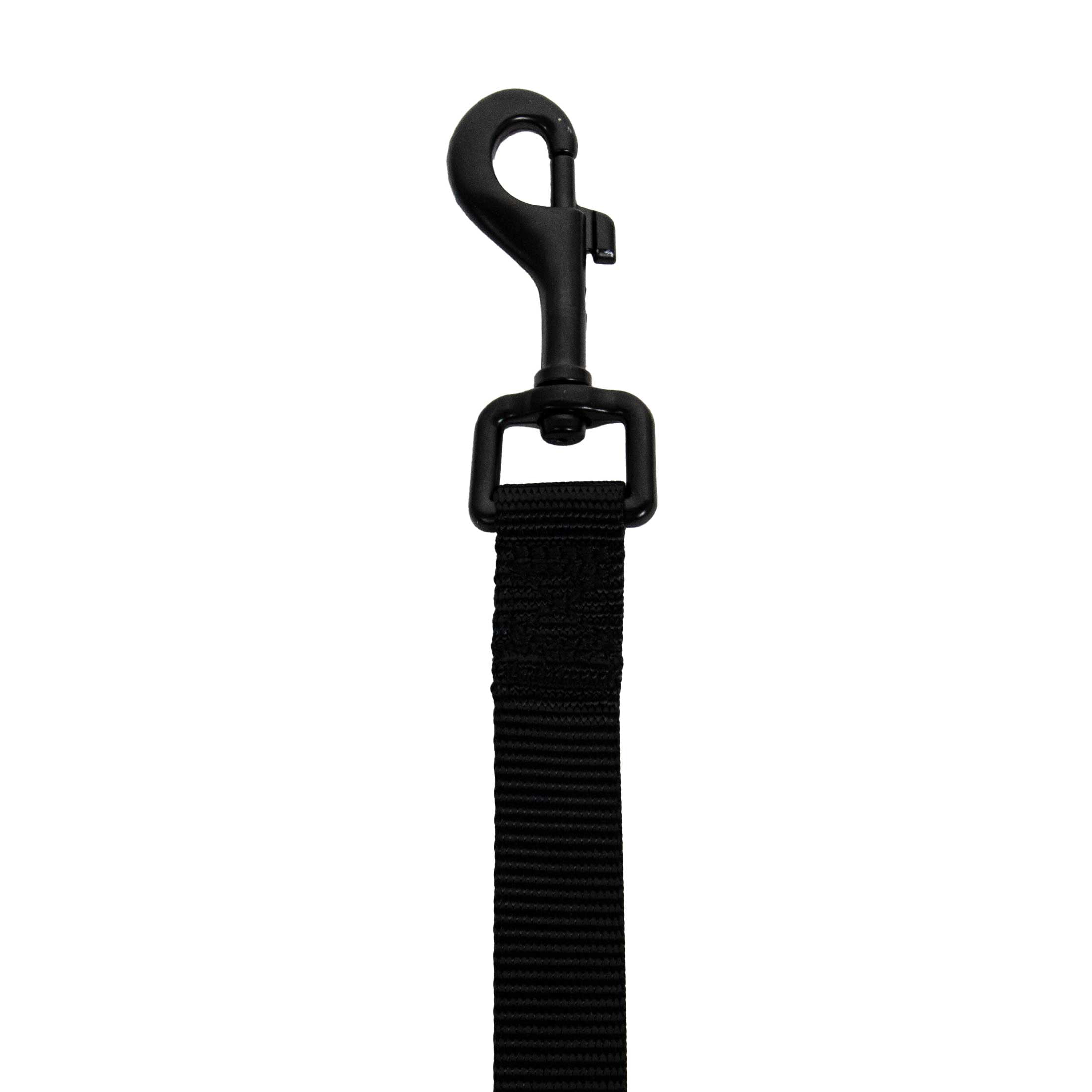 Vibrant Life 4' Solid Polyester Leash, Black, M