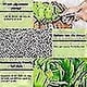 thumbnail image 2 of Sniffing Mat Dog Dog Toy Intell Sniffing Mat Dog Sniffing Mat Washable Foldable Smelling Non-slip Sniffing Toy, 2 of 3