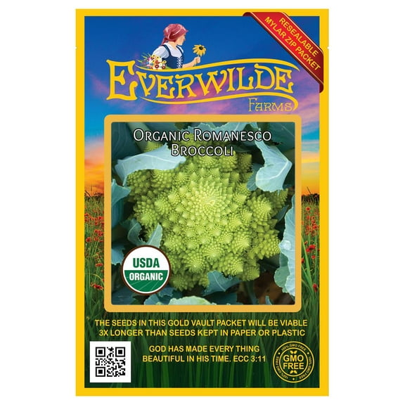 Everwilde Farms - 100 Organic Romanesco Broccoli Seeds - Gold Vault Jumbo Bulk Seed Packet
