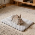 thumbnail image 1 of Dvkptbk polyester mat Summer Coolings Pet Bed Ice Pad for Hamster Rabbits Small Animals Cage Coolings Mat Portable Pet Coolings Mat Suitable for Hot Weather, 1 of 6