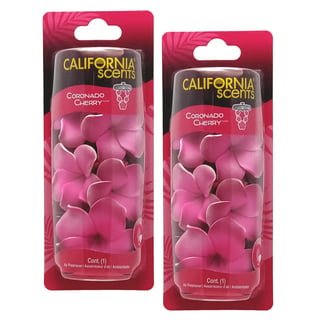 California Car Scents 301412300 Air freshener Golden State Delight Single  Can - Tetrosyl Express Ltd