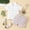 Beige, variant on RTKFRFLM Boys Cotton Linen Polo Set, Solid Color Short Sleeve Shirt and Casual Shorts 2-Piece