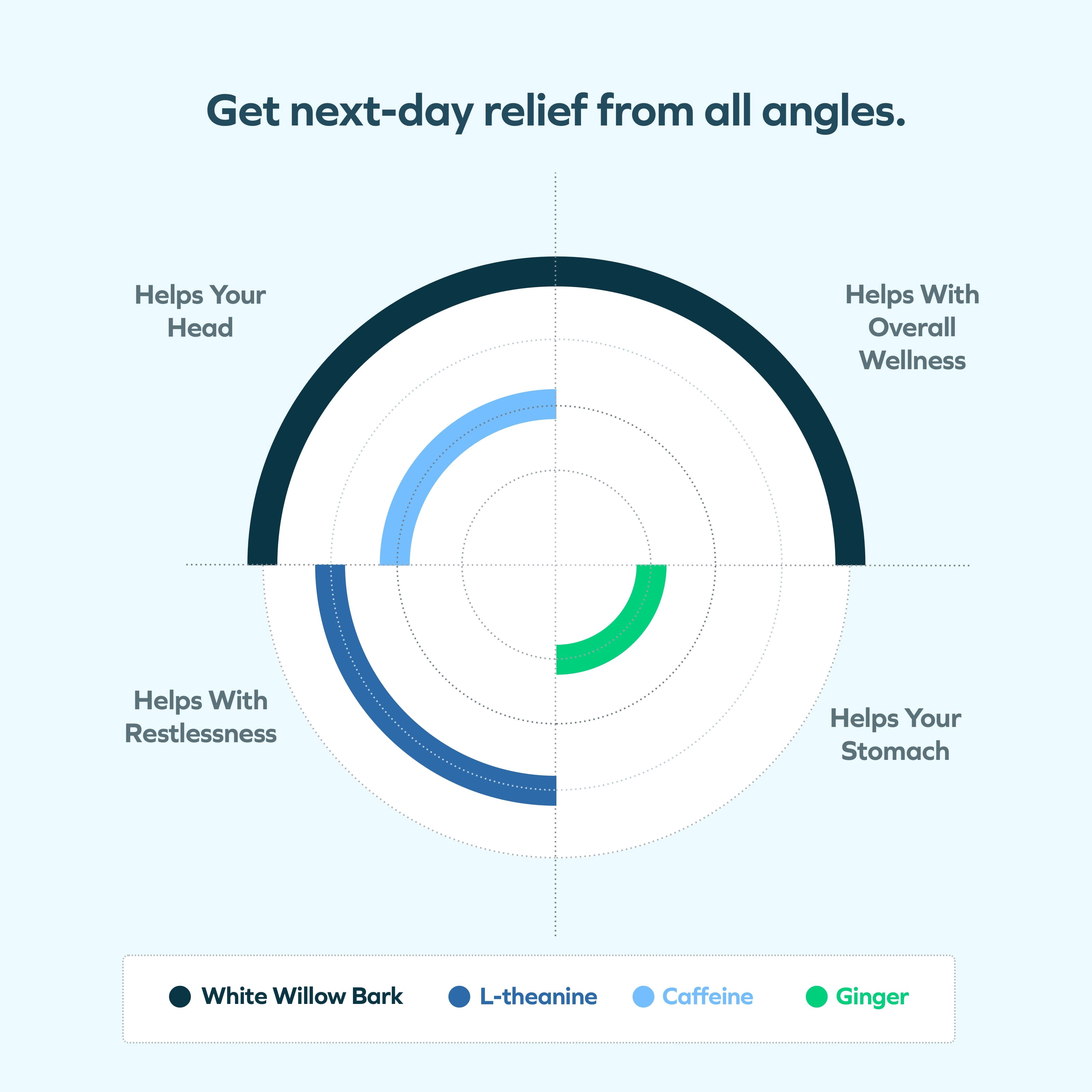 Cheers Relief: Feel Better the Day after Drinking, 1000mg Ginger & 500mg White Willow Bark, 12 Doses