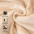thumbnail image 2 of Hubdic Beige Polyester Electric Blanket, 2 of 6