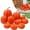 D, variant on Set of 7 Artificial Dark Blue Pumpkins – Assorted Sizes for Fall Thanksgiving Halloween Table Centerpiece and Shelf Decor