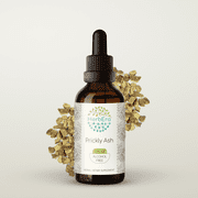 HerbEra Prickly Ash Tincture, Herbal Dietary Supplement for Digestive Support, Prickly Ash (Zanthoxylum clava-herculis) Dried Bark Extract, Natural, Alcohol-Free, Drops 2 oz