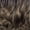 DR2SSTBL, variant on Outre Emmerie SleekLay Part Lace Front Wig 20" Lace Wigs / Color: 1 - JET BLACK
