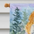 thumbnail image 3 of Carolines Treasures SS8918CHF 28 x 40 In. Sheltie Flag Canvas- House Size, 3 of 4