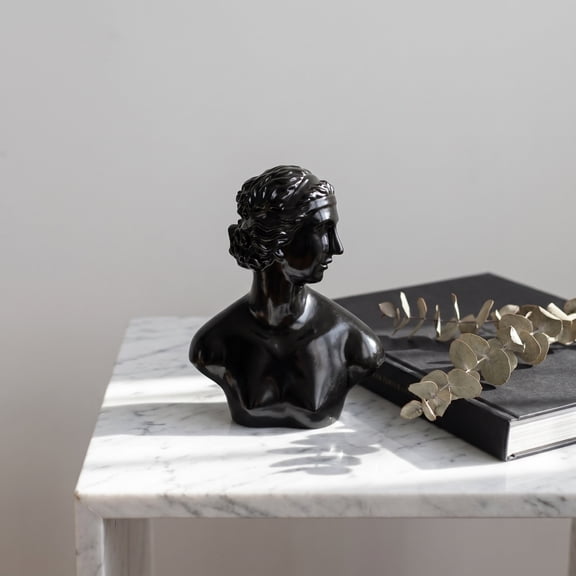 Black Aphrodite Statue Coffee Table Decor for Living Room Home Decor Aesthetic Shelf Decor Entryway Table Accent