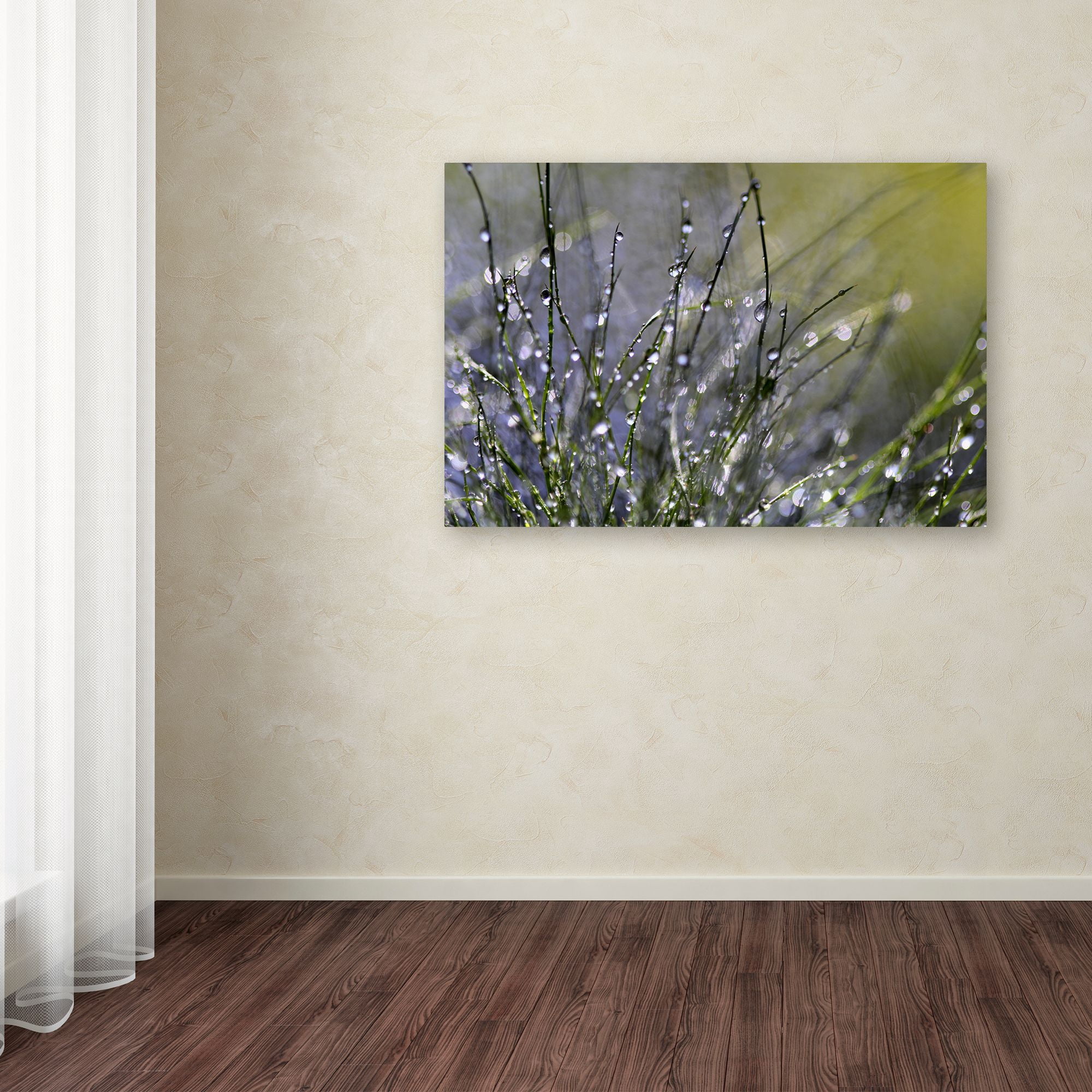 "Spring Morning" Canvas Art by Beata Czyzowska Young