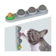 thumbnail image 3 of Catnip Ball Toys for Cats, 8-Pack Edible Kitty Dental Sticks with Silvervine & Gall Fruit, 3 of 5