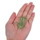 thumbnail image 5 of BRIGHTFUFU 300Ud Dijes Acrílicos Transparentes En Forma De Hoja Para Accesorios De Joyería Creativa, 5 of 6