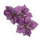thumbnail image 4 of 12 piezas de 7,8 "árbol de Pascua de Navidad, flores decorativas de seda, adornos para árbol de Navidad, flores de Navidad, flores falsas de Pascua, árbol de Navidad D, 4 of 5