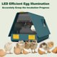 thumbnail image 5 of Incubadora para huevos para incubar Giro automático de huevos 10 huevos LED, 5 of 6