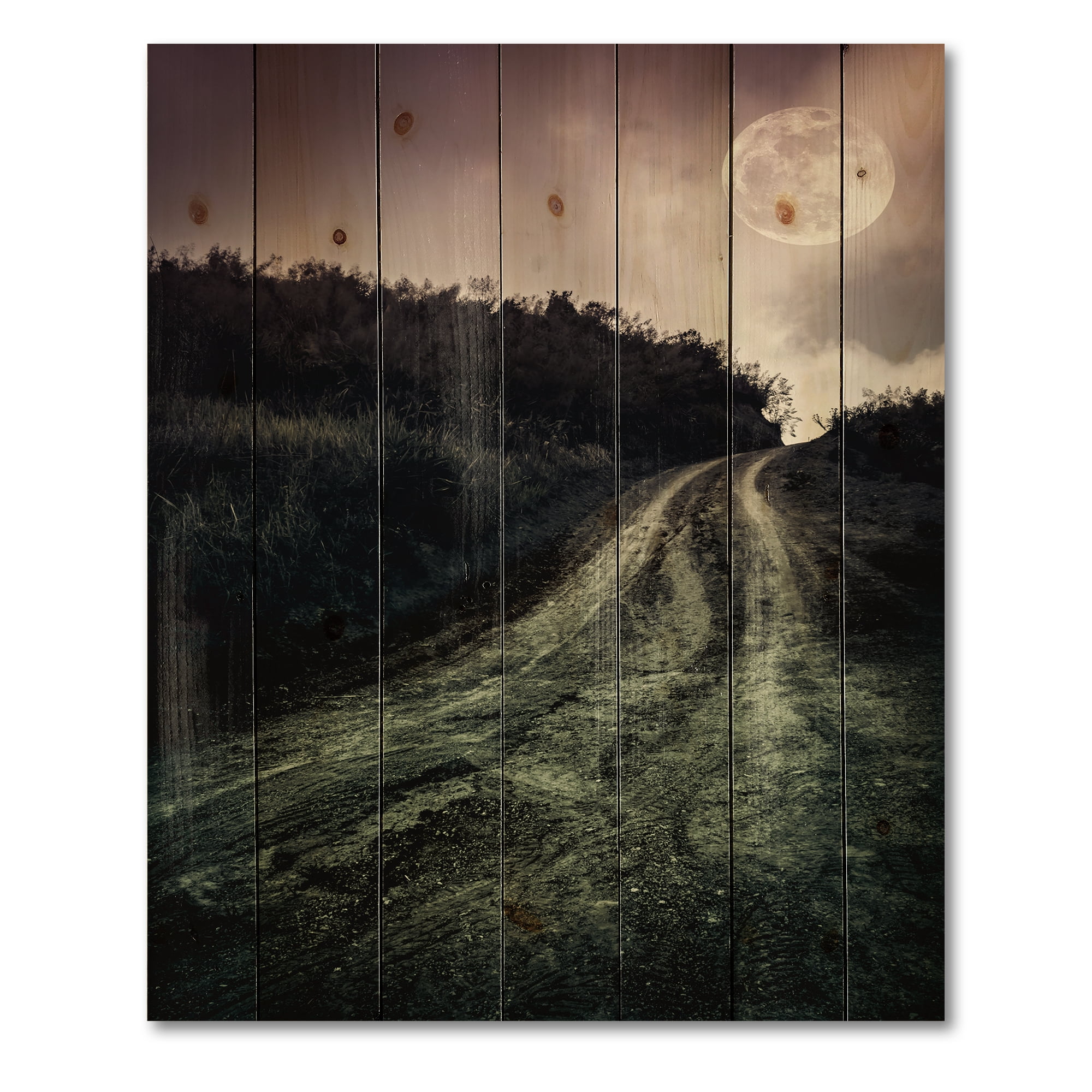 Designart 'Countryside Muddy Road Under Full Moon' Modern Print on Natural Pine Wood
