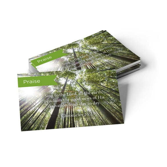Pass Along Scripture Cards, Praise, 1 Chronicles 16:23, Pack 25