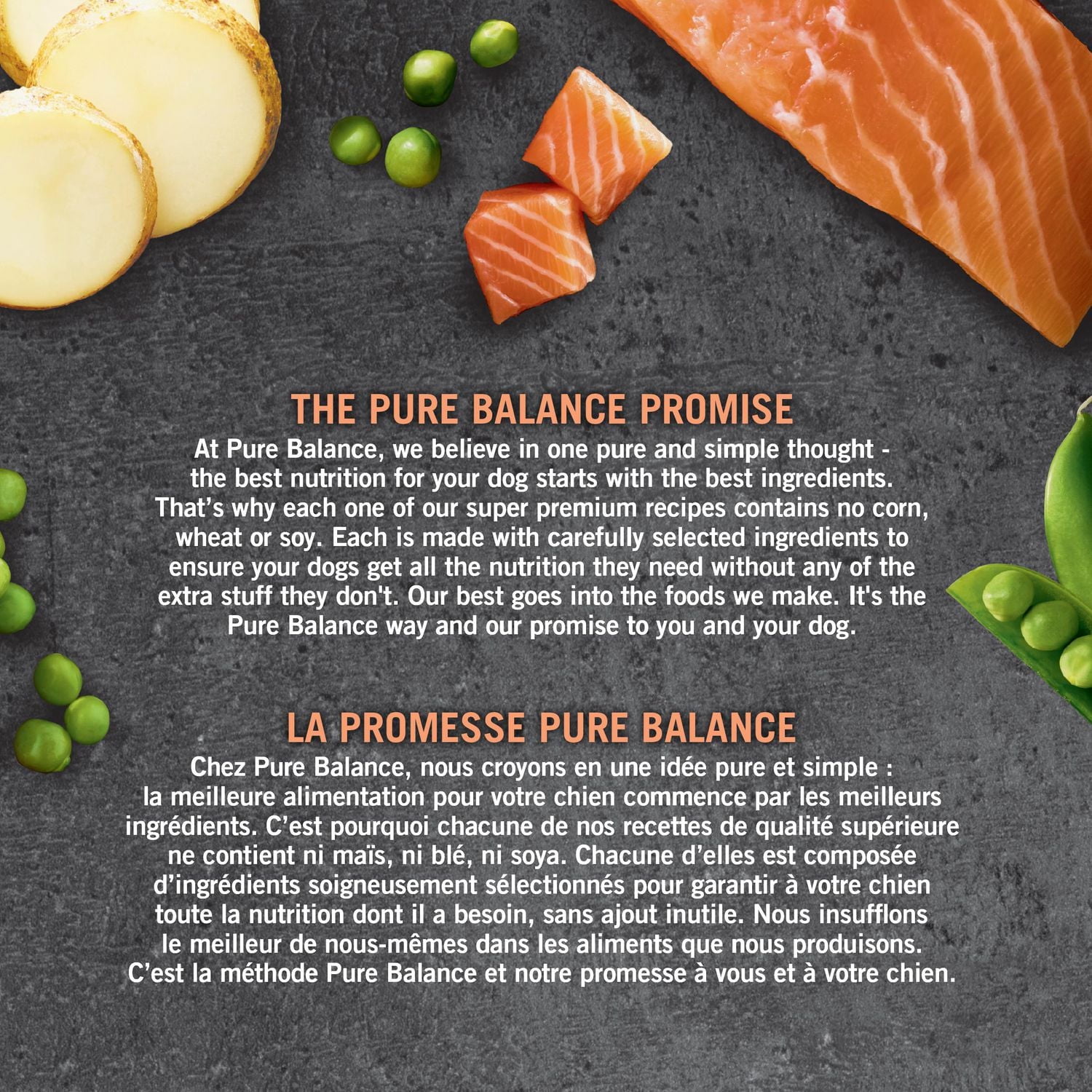 Pure Balance Grain Free Salmon & Pea Recipe Dry Dog Food, 100 g, 3.6 kg, 7.2 kg, 14 kg