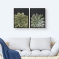 thumbnail image 3 of PixonSign Framed Wall Art Collage Print Gallery Set Green Spiky and Soft Succulents Botanical Plants Photography Realism Modern Portrait Multicolor for Living Room, Bedroom, Office - 12"x16"x2 BLACK, 3 of 6