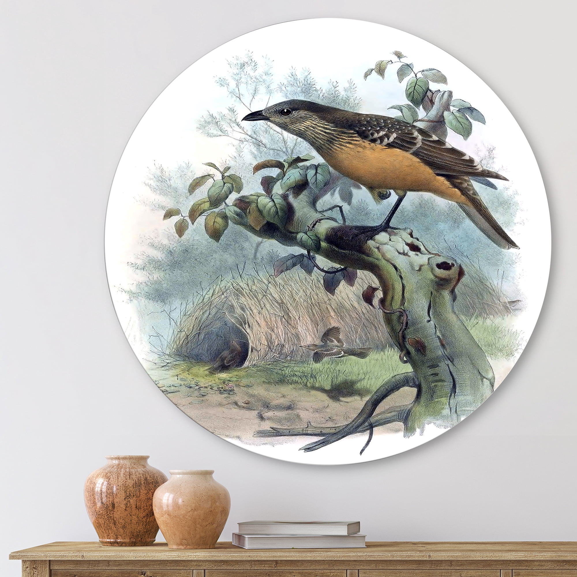 Designart 'The Paradise Birds on a Tree Branch' Traditional Circle Metal Wall Art 23x23 - Disc of 23