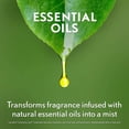 thumbnail image 3 of Air Wick Essential Mist Fragrance Oil Diffuser Refill, Fresh Waters, 3 Count, Air Freshener, 3 of 5