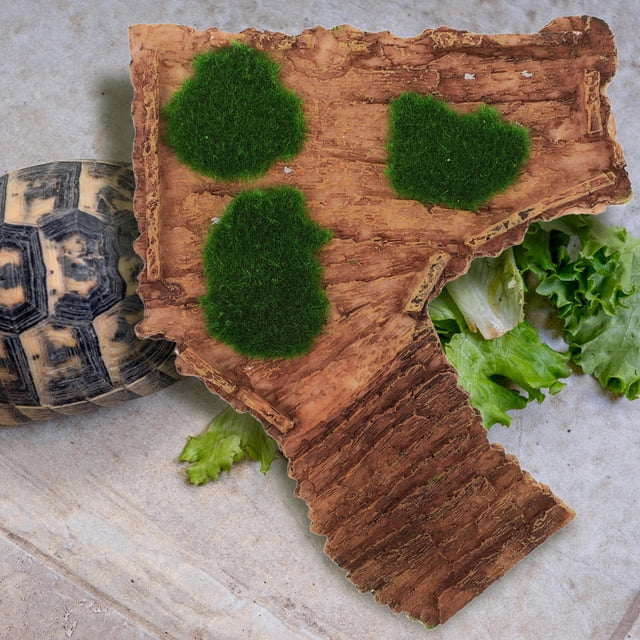 DECORNIJIA Aquatic Turtle Resin Basking Platform with Sloped Design for Easy Climbing in Aquarium