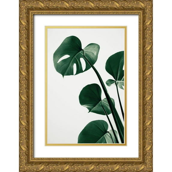 Artographie Studio 13x18 Gold Ornate Wood Framed with Double Matting Museum Art Print Titled - Monstera Natural 38