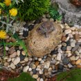 thumbnail image 2 of Shisuyan Hide A Key Box For Outside Discreet Key Holder Realistic Stone Hider Disguised Storage Case Outdoor Garden Turtle Decoration, 2 of 8